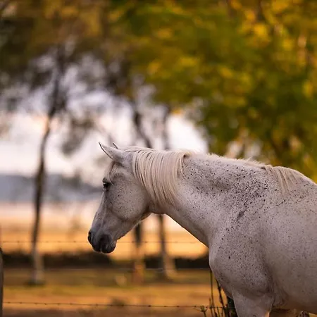 Hotel Balneario De Corconte Cabanas de Virtus