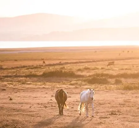 Balneario De Corconte מלון