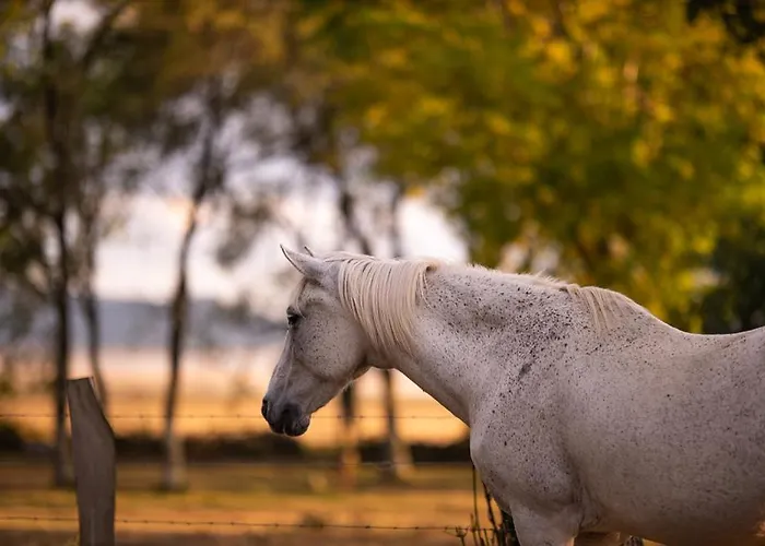 호텔 Balneario De Corconte Cabanas de Virtus