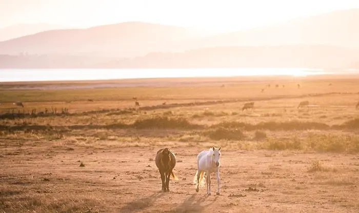 Balneario De Corconte 호텔