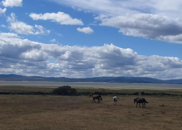 Balneario De Corconte 호텔 3*